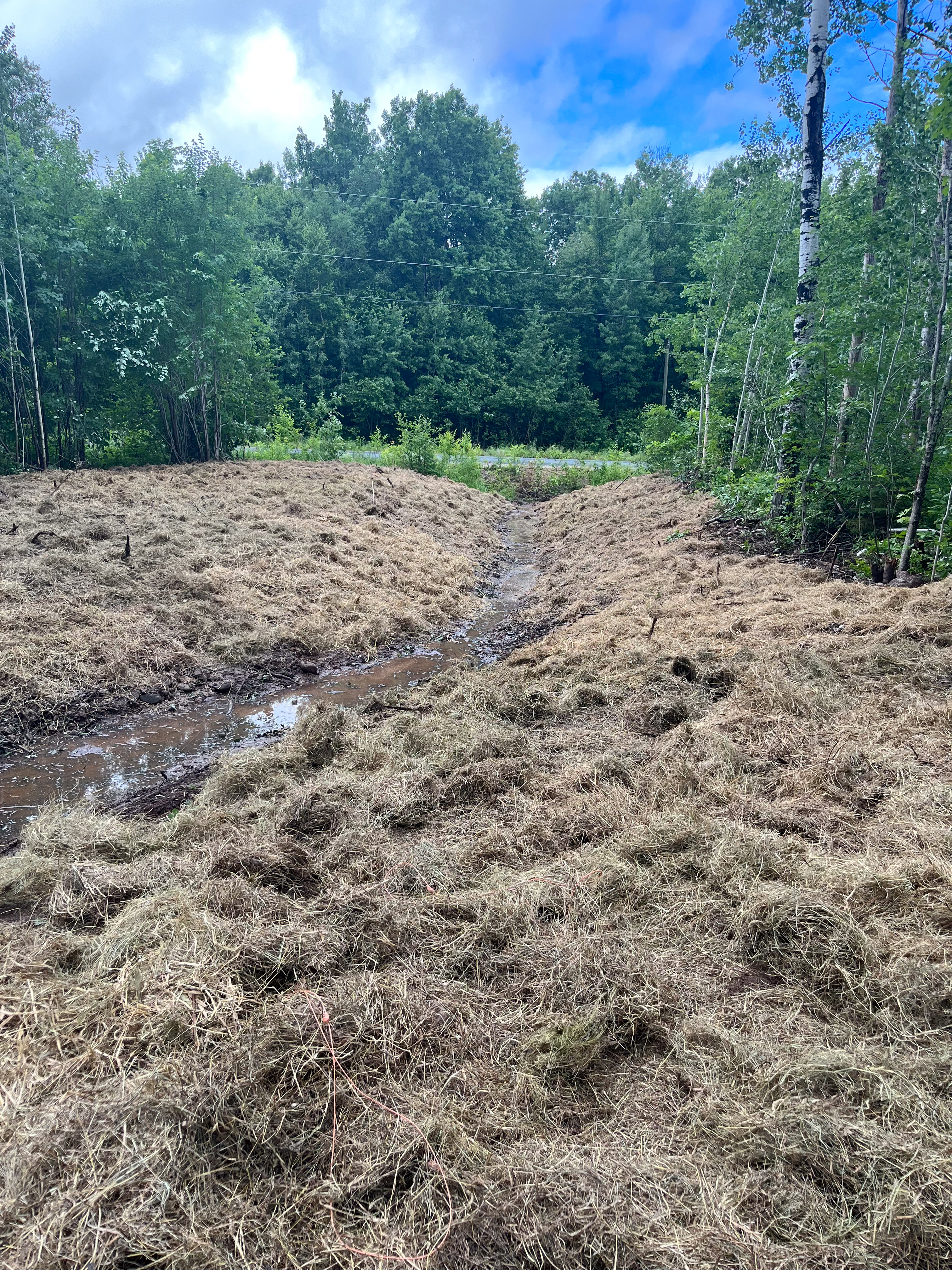 Dreinage ditch